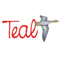 Teal Logo